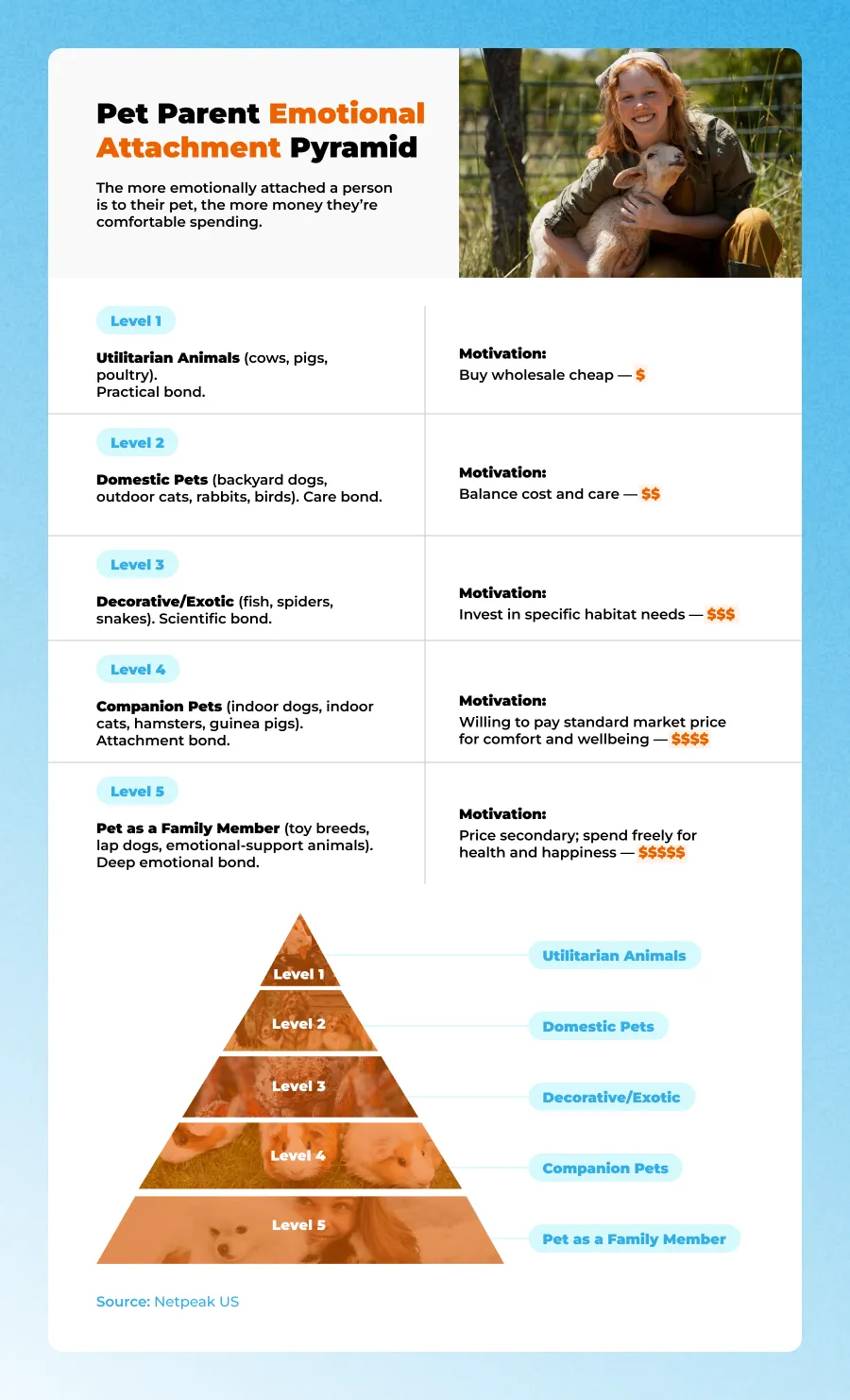 pet parents emotional piramide