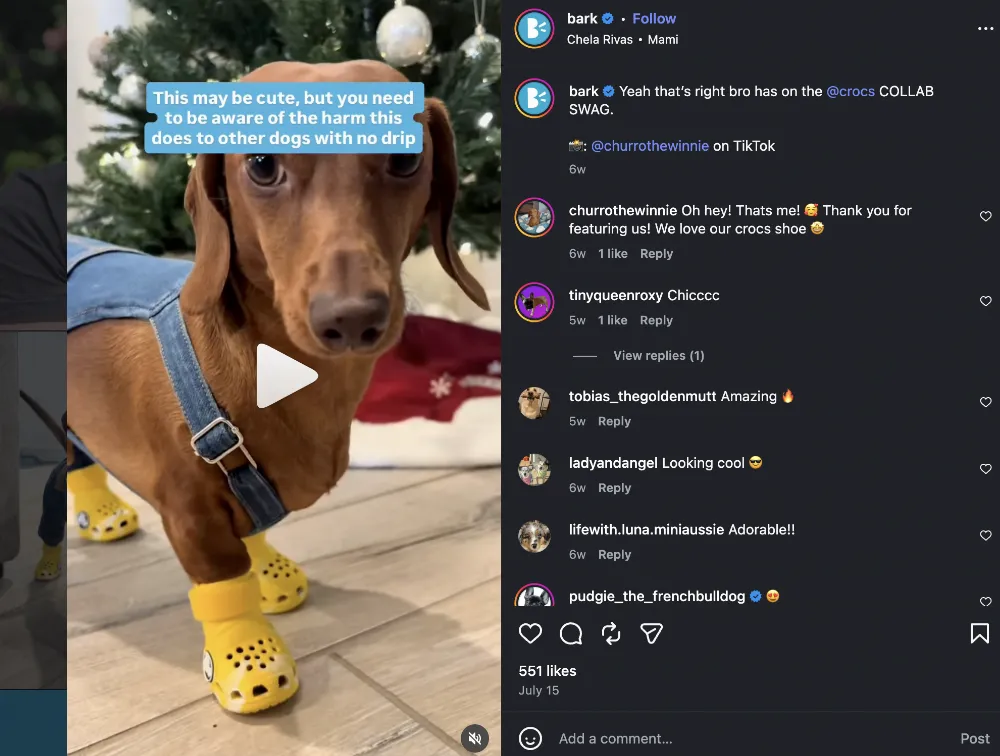 2. Partnerships with Petfluencers and Encouraging UGC