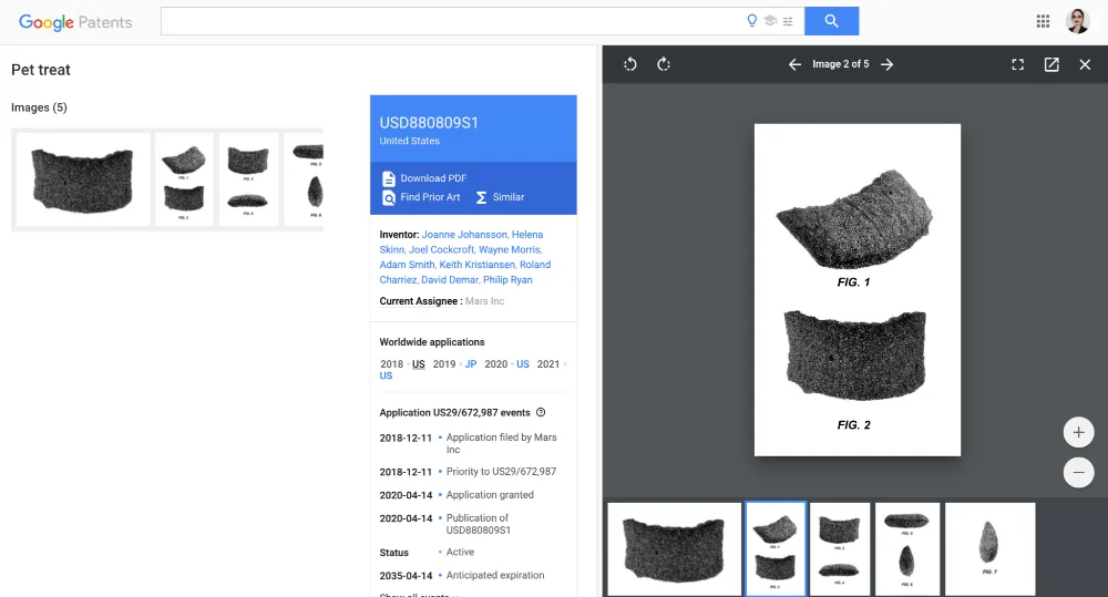 Decide on the Patent Type