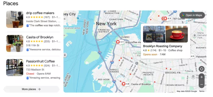 Google Map Results