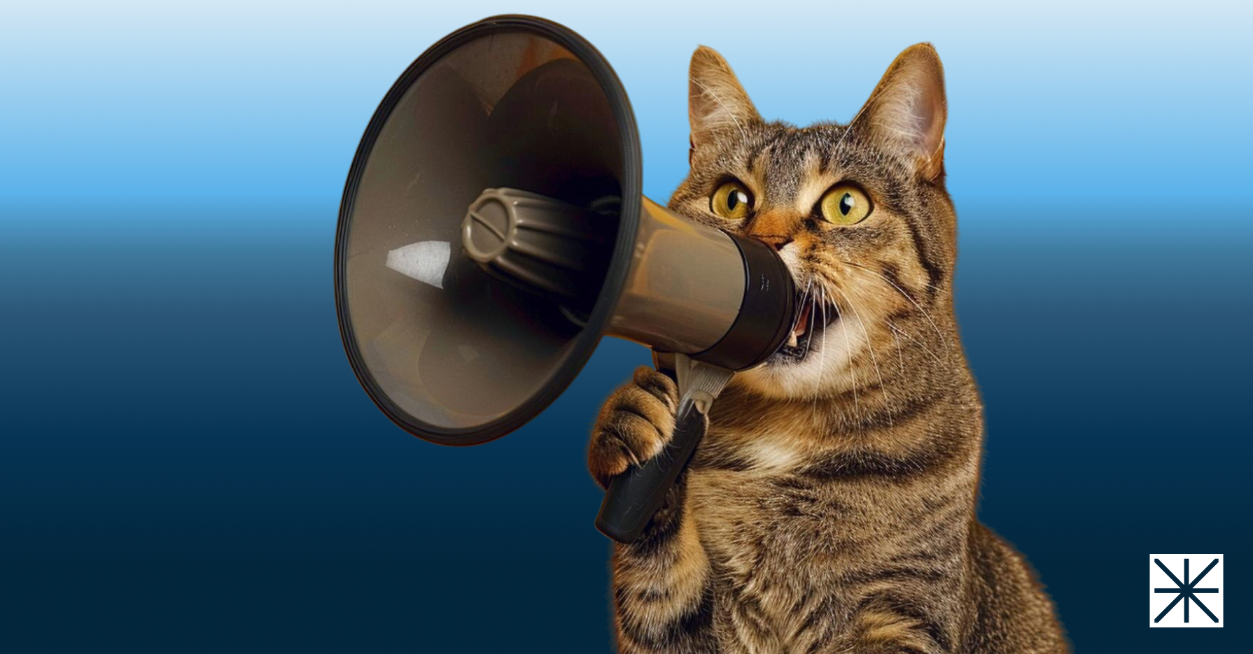 Amazon's 2026 Fee Changes: What Every Pet Brand Should Recalculate Before Q4