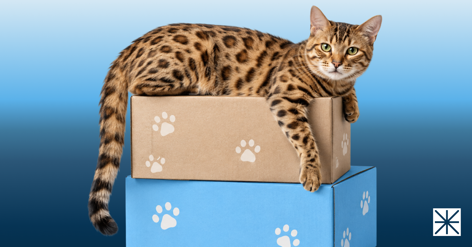 What Happens When Amazon Suppresses Your Listing? The New 2026 Rules