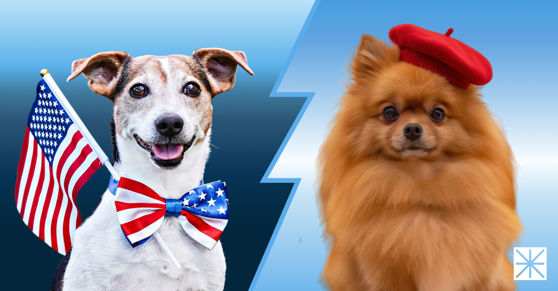 US vs Europe: Pet Care Marketing Behavior