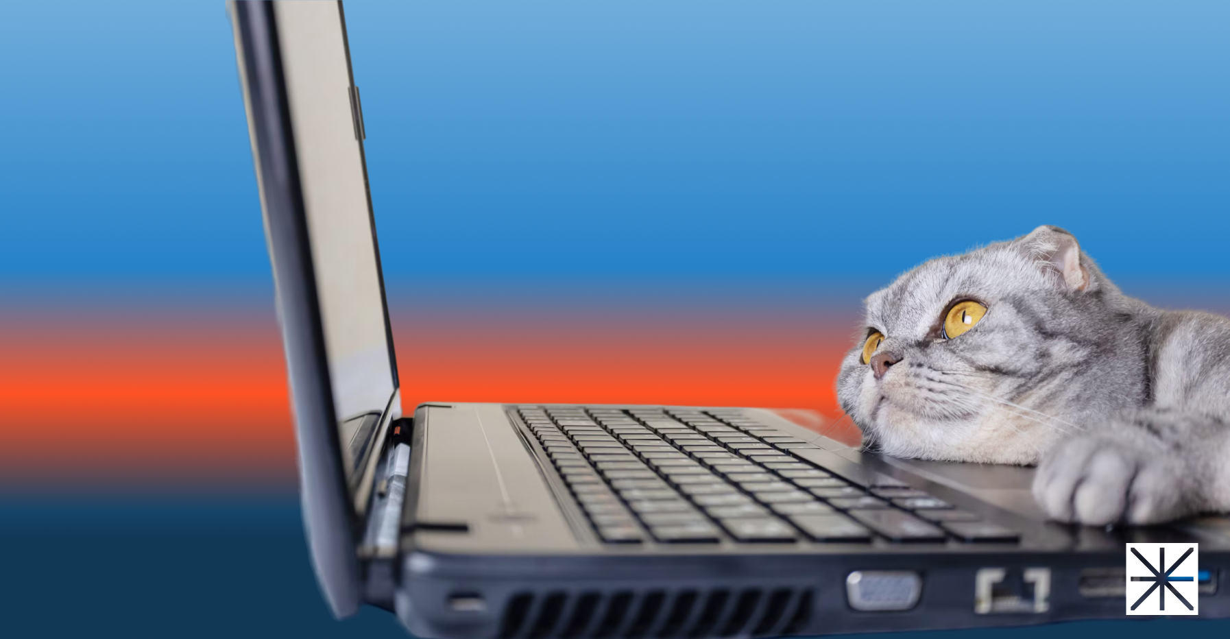 How Concentrated Is the US Pet E-Commerce Market?