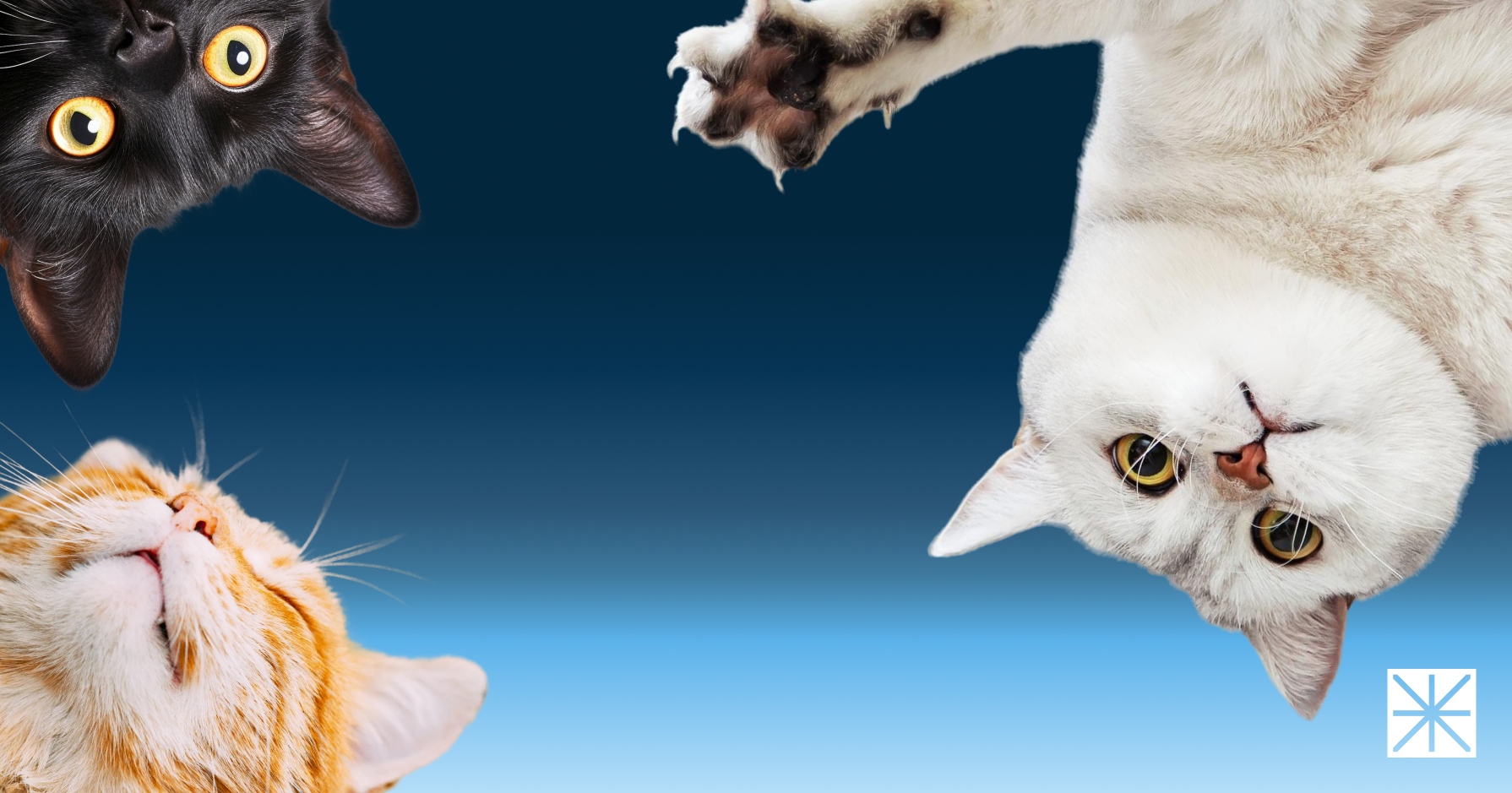 The FTC Says Amazon Overcharged Advertisers $20 Billion. What Does My Pet Brand Actually Get Out of It?