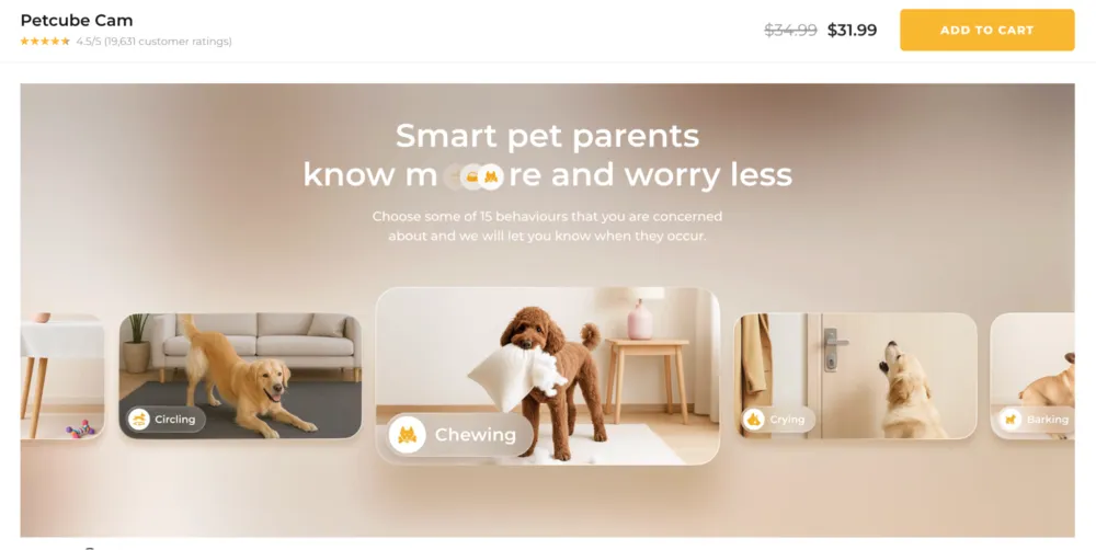 Pet Cameras