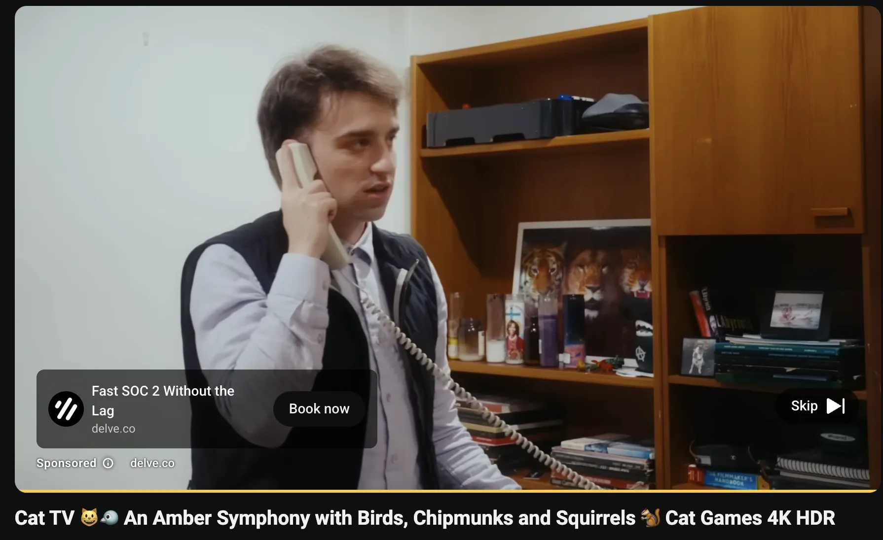 Video ads example